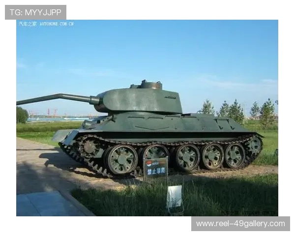 苏联足球传奇球星回顾：从贝尔季耶夫到普斯卡什的辉煌历程